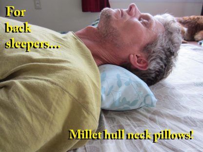 Millet hull neck pillow.