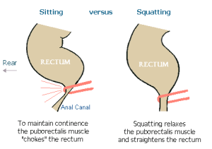 Squatting Toilet Platforms