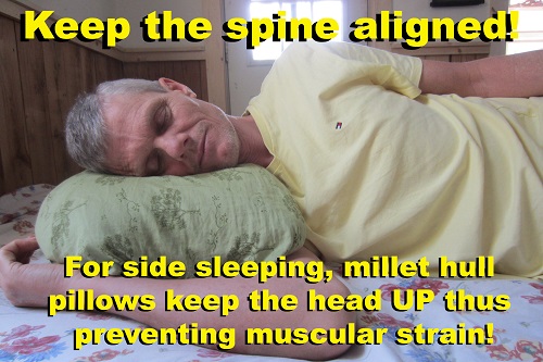 Millet pillows are the best side sleeper pillow for neck pain!