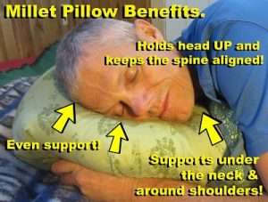 Millet pillows have many wonderful benefits. Great for neck pain, side sleepers and firm support!