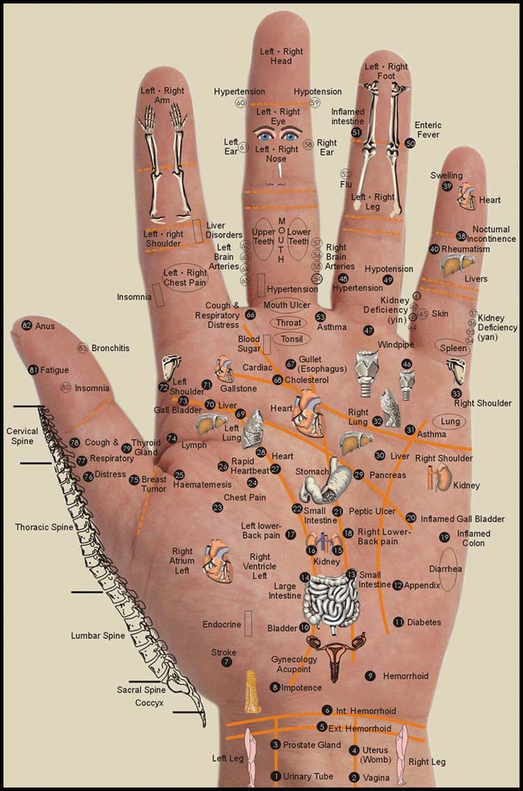 High Resolution Printable Hand Reflexology Chart